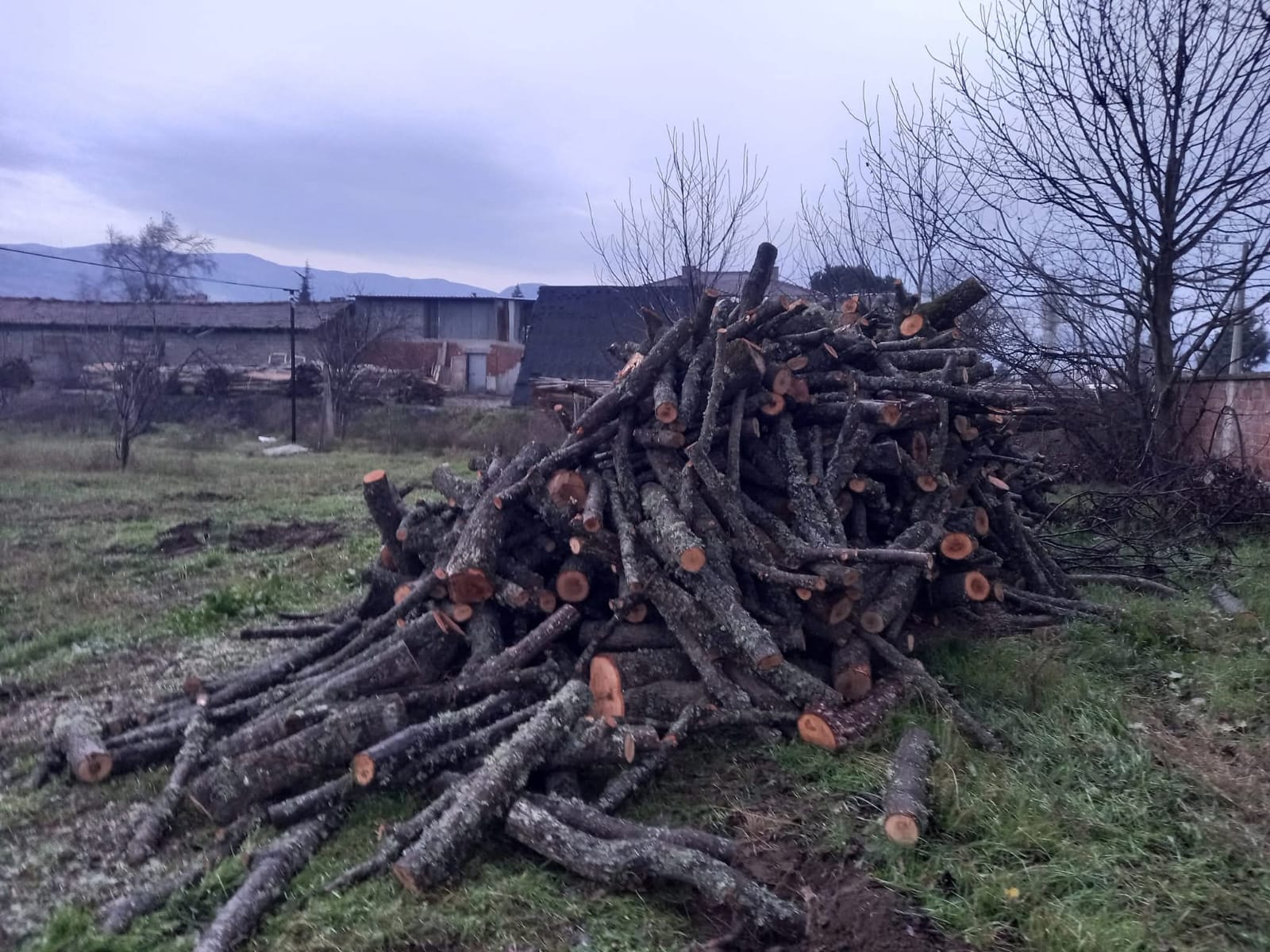 Kaya Orman Ürünleri